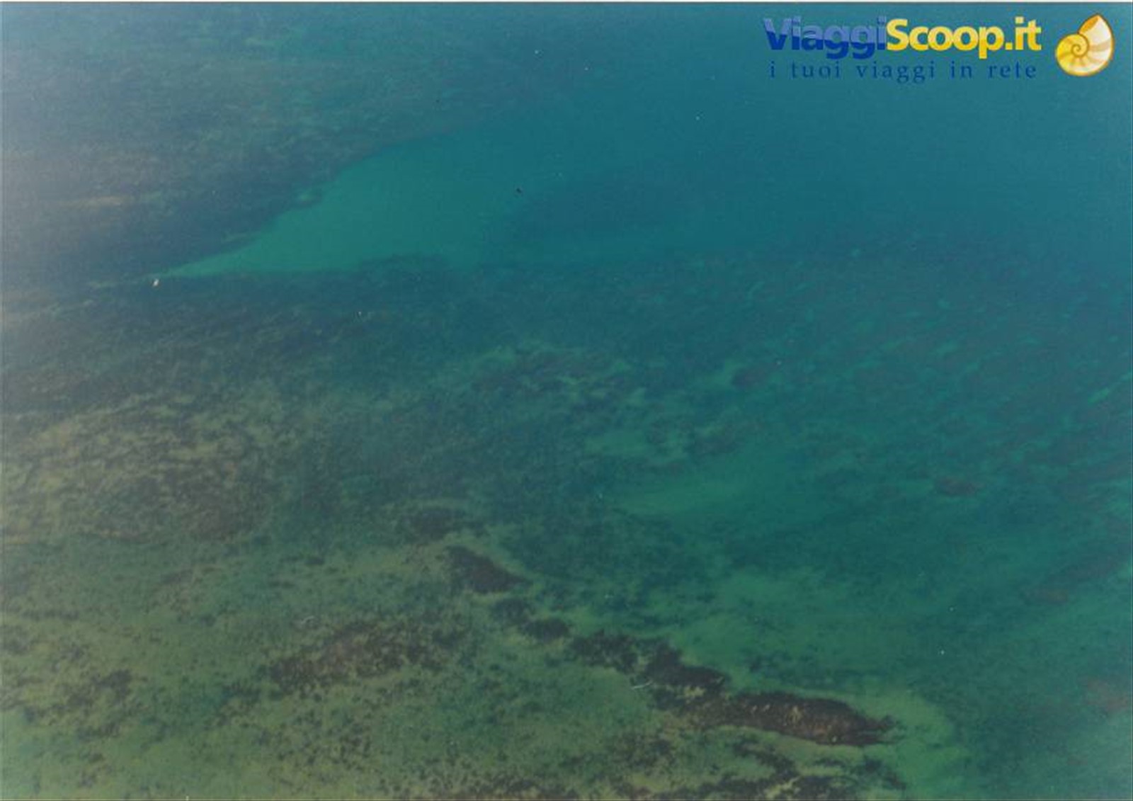 la Grande Barriera corallina dall' alto
