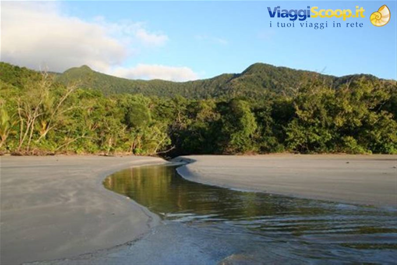 spiaggia di Daintree