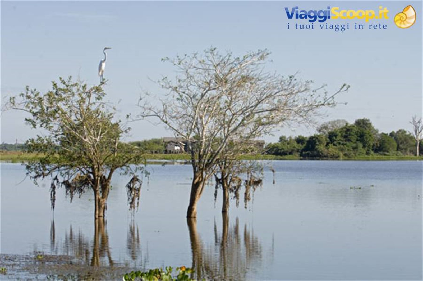 paesaggi del Pantanal