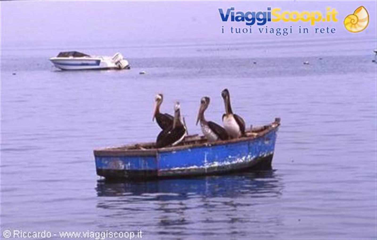 Paracas