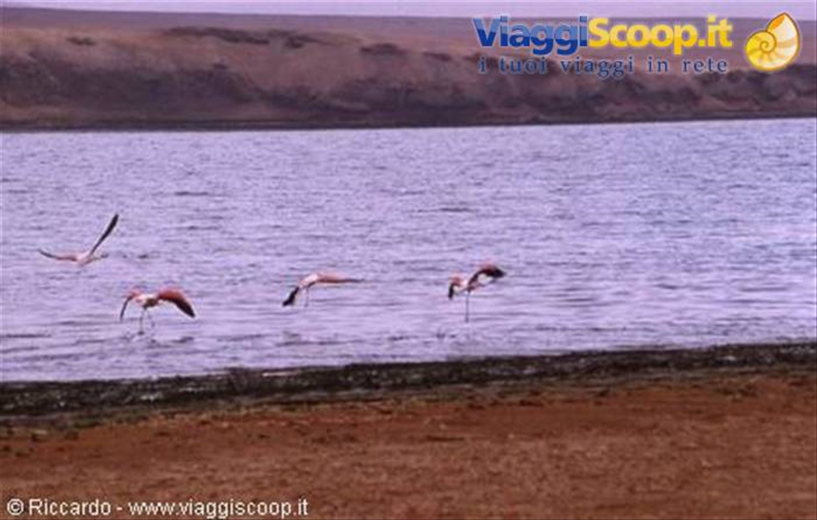 Paracas