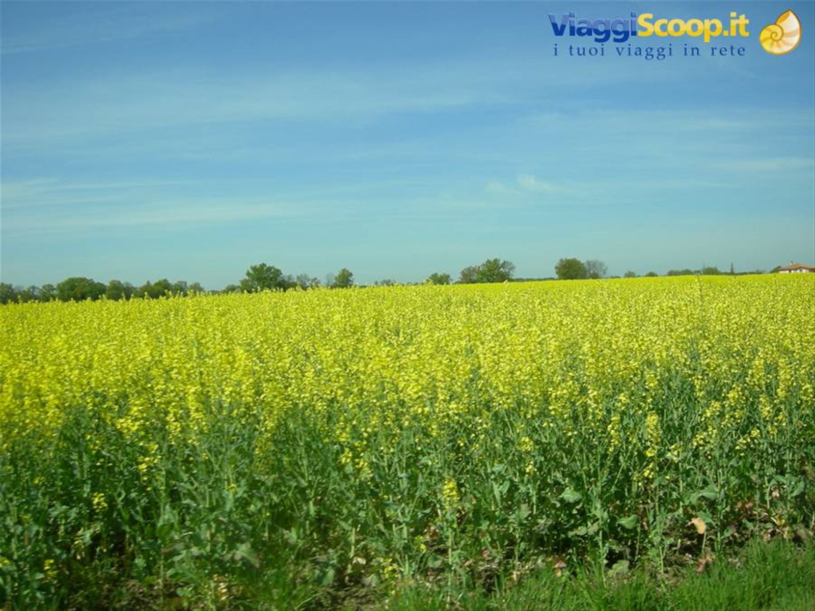Foto di viaggio in FRANCIA