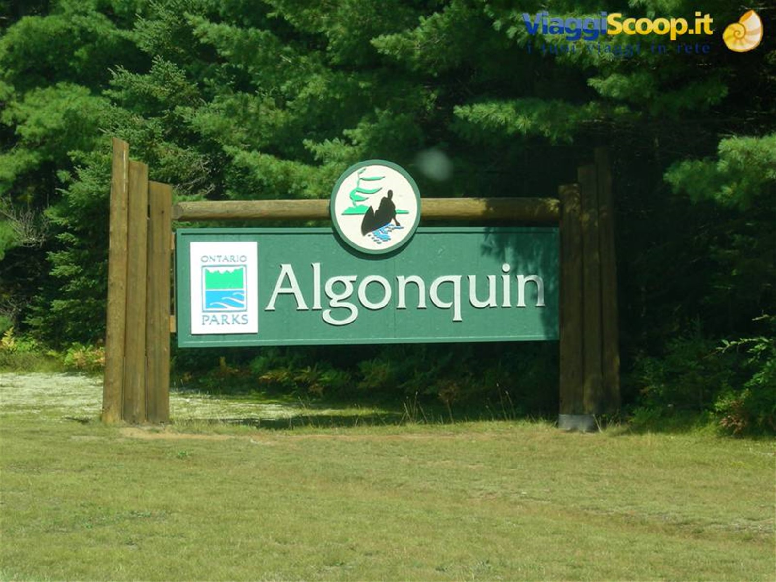 algonquin park