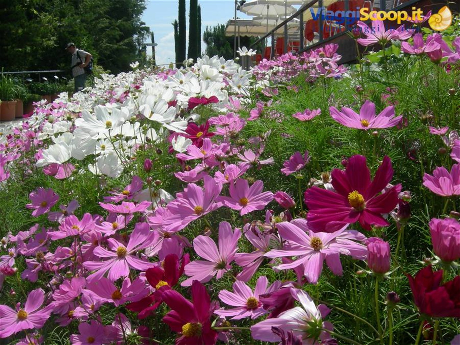 giardini di castel trauttmansdorff