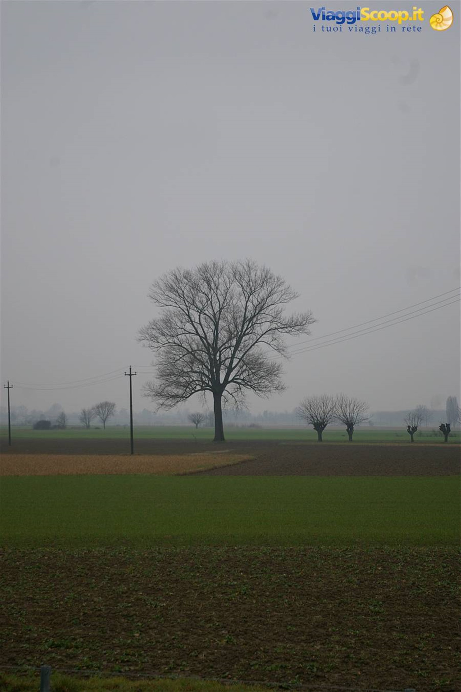 Foto di viaggio in ITALIA
