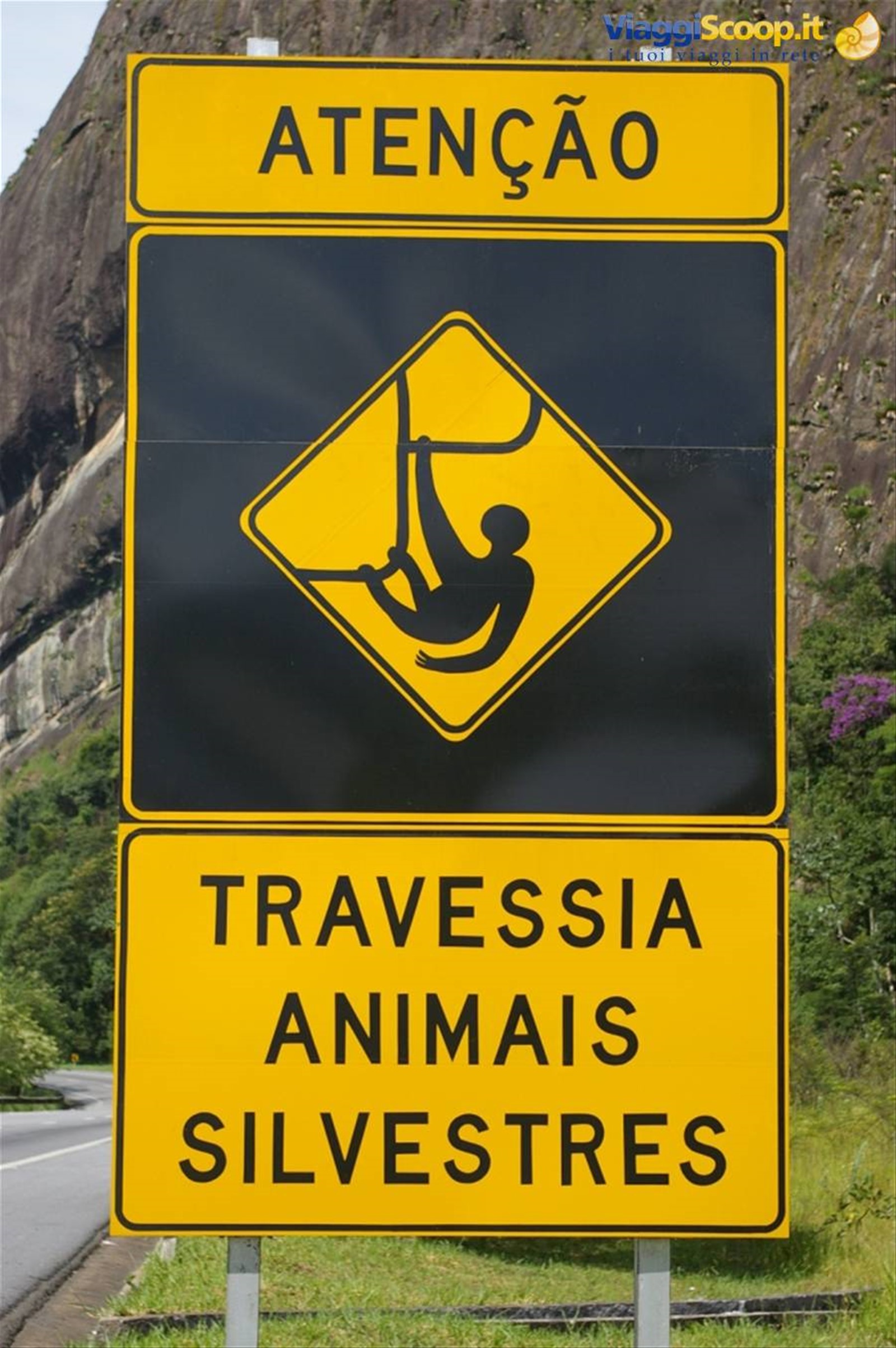 Foto di viaggio in BRASILE