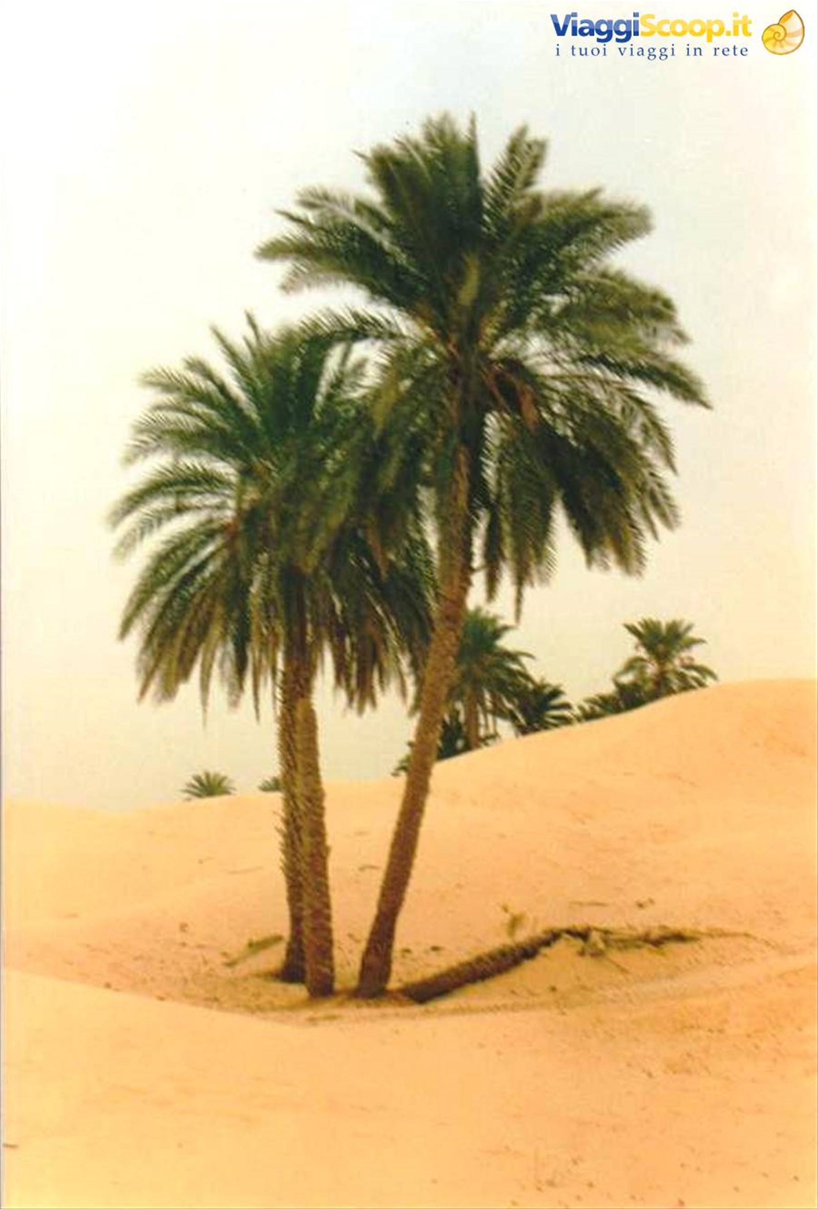 Foto di viaggio in TUNISIA