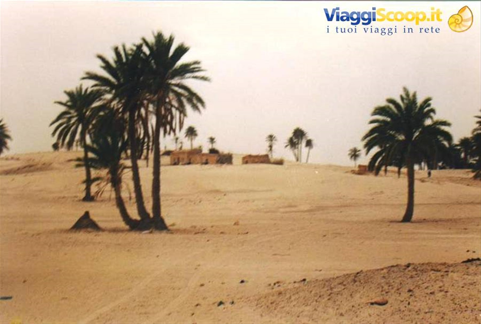 Foto di viaggio in TUNISIA