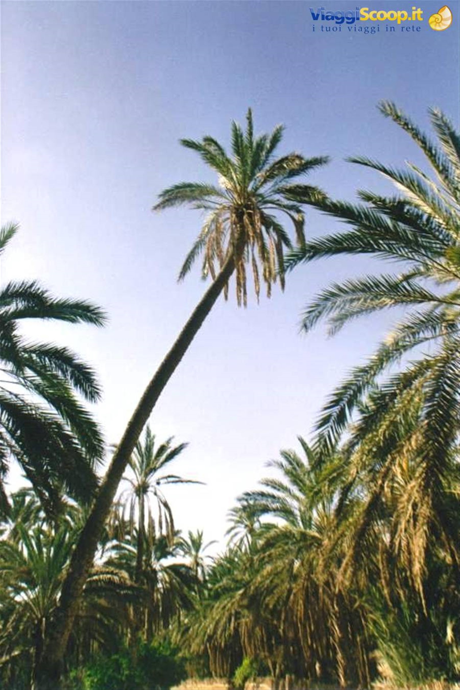 Foto di viaggio in TUNISIA