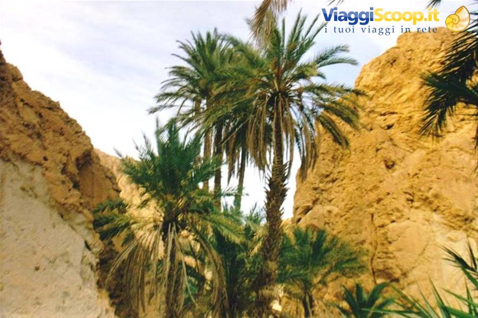 Foto di viaggio in TUNISIA