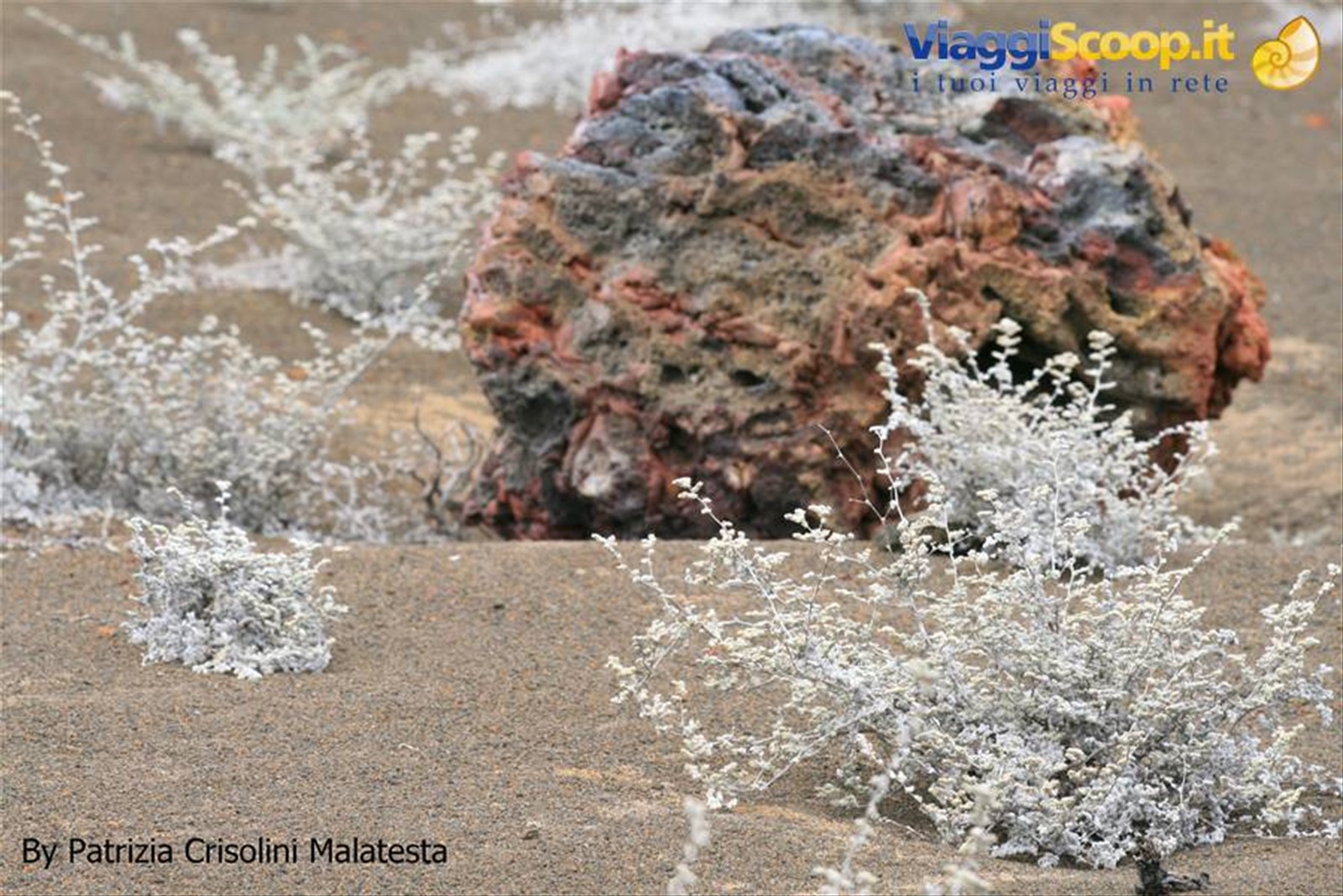 Roccia lavica
