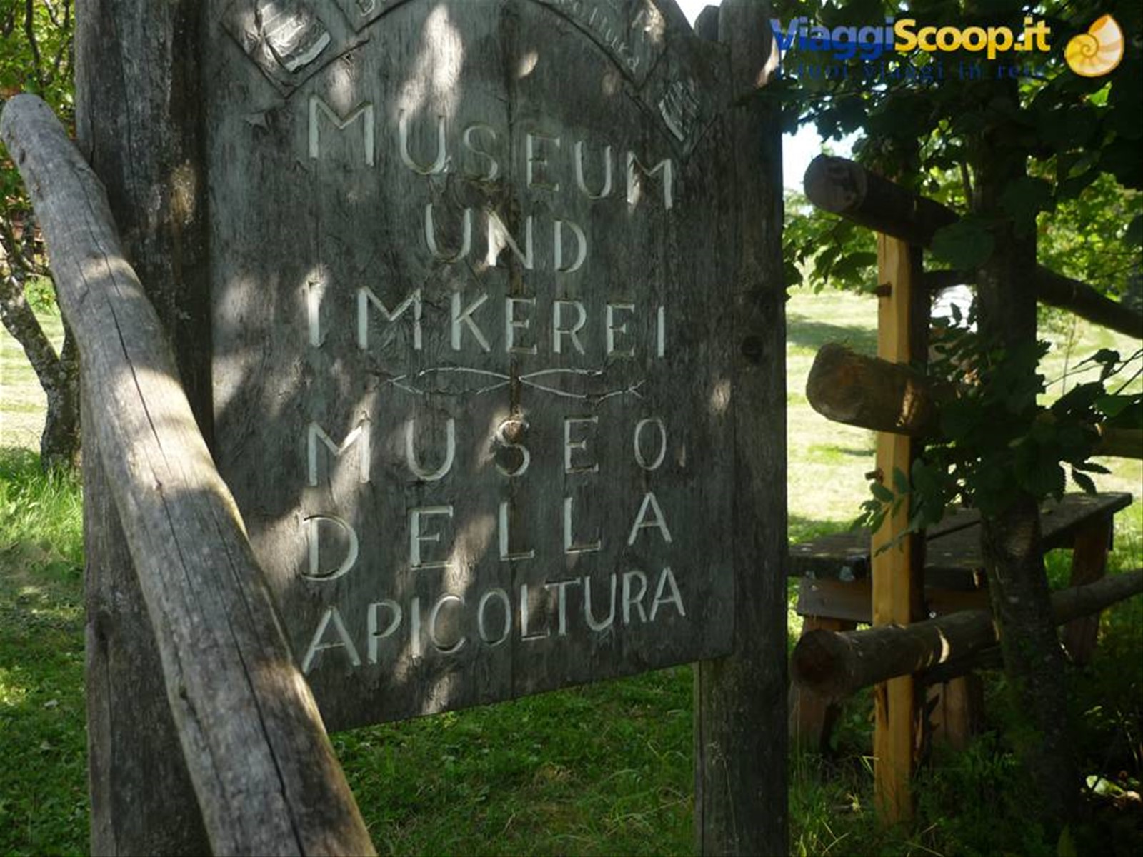 museo delle api