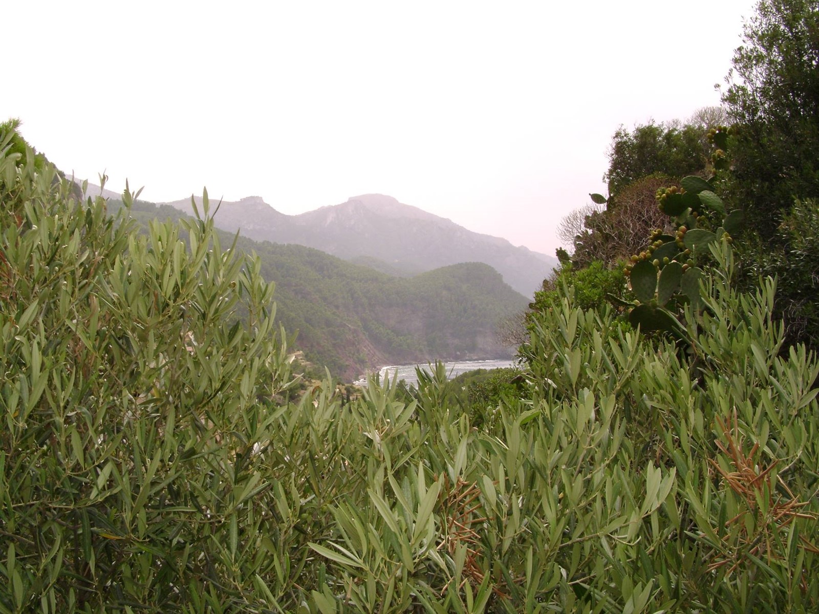 Foto di viaggio in SPAGNA