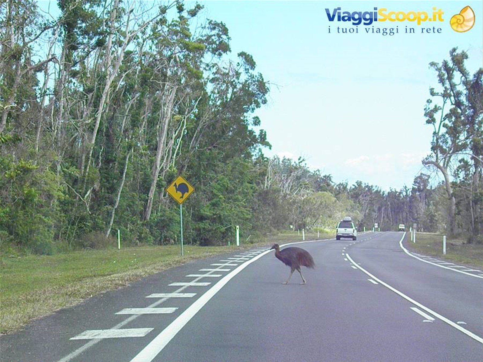 Foto di viaggio in AUSTRALIA