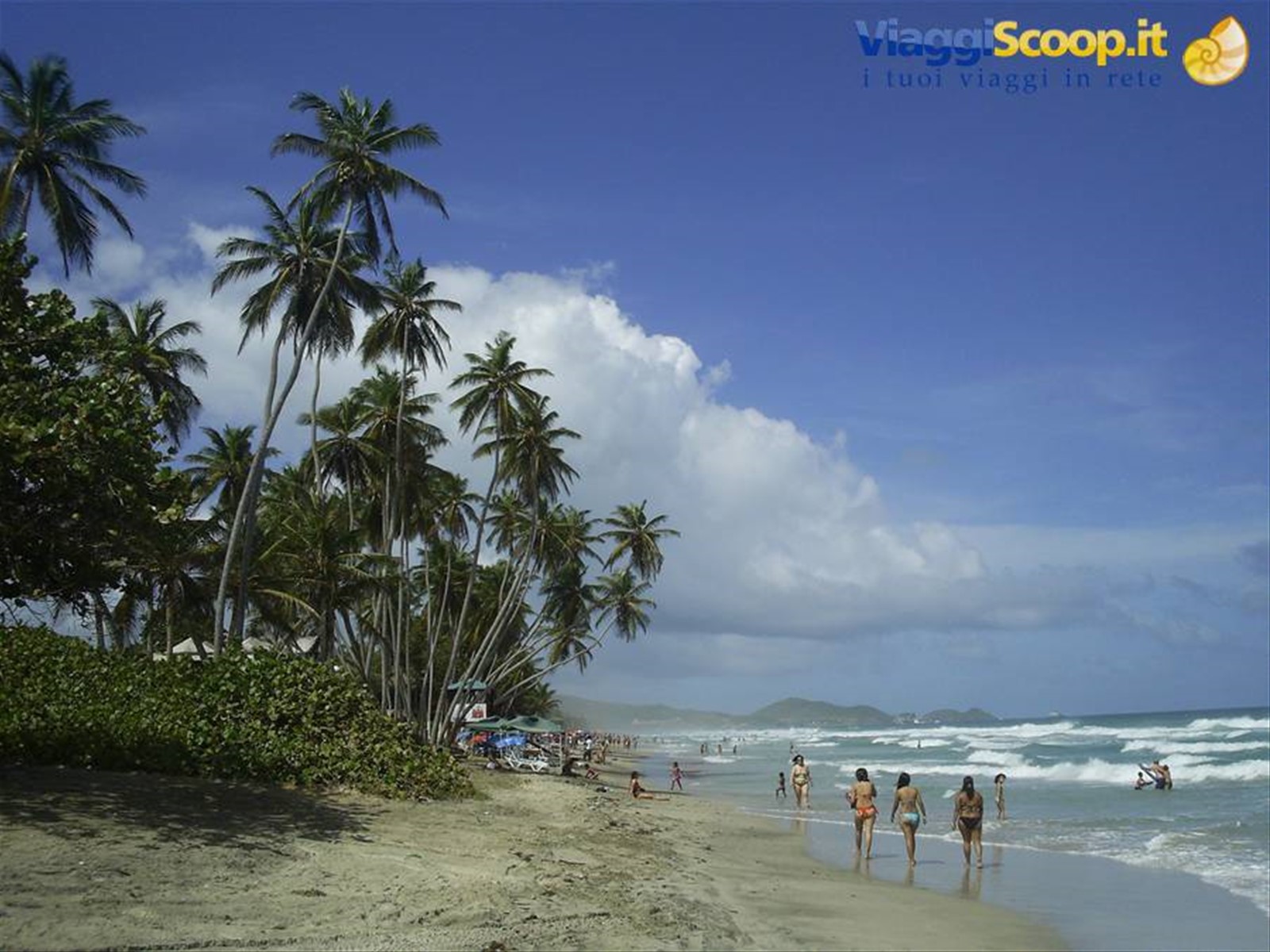 Foto di viaggio in VENEZUELA