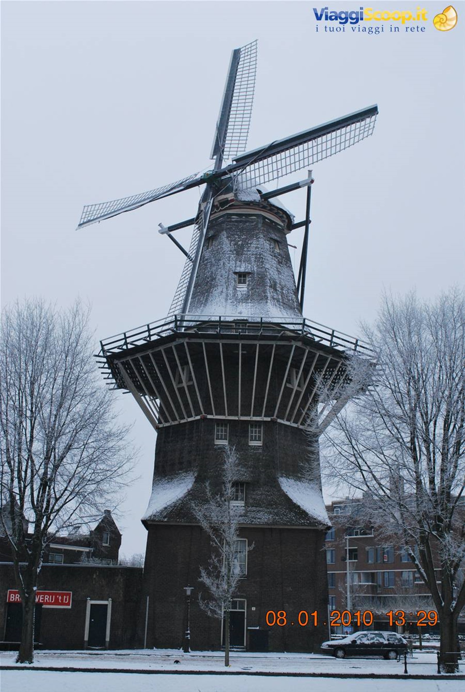 mulino