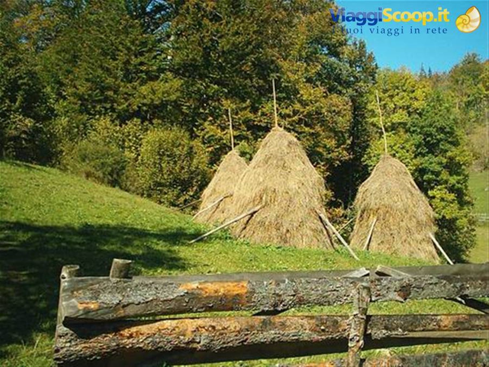 Foto di viaggio in ROMANIA
