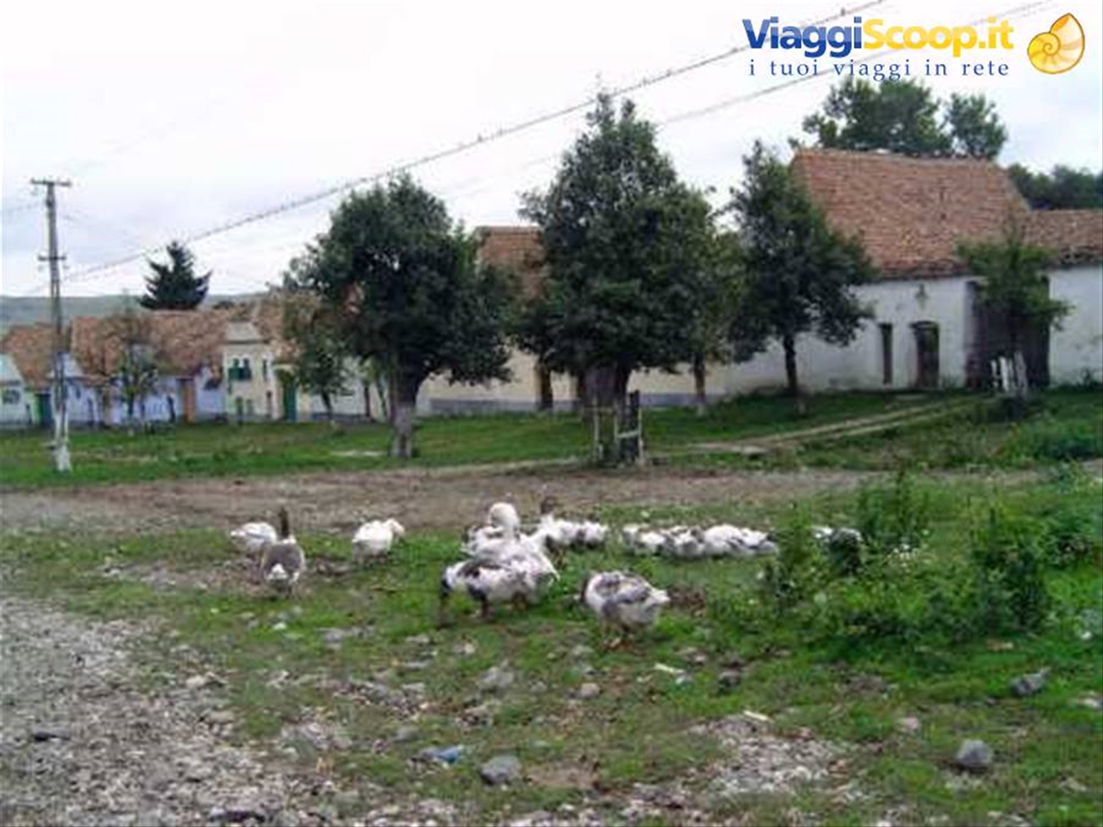 Foto di viaggio in ROMANIA