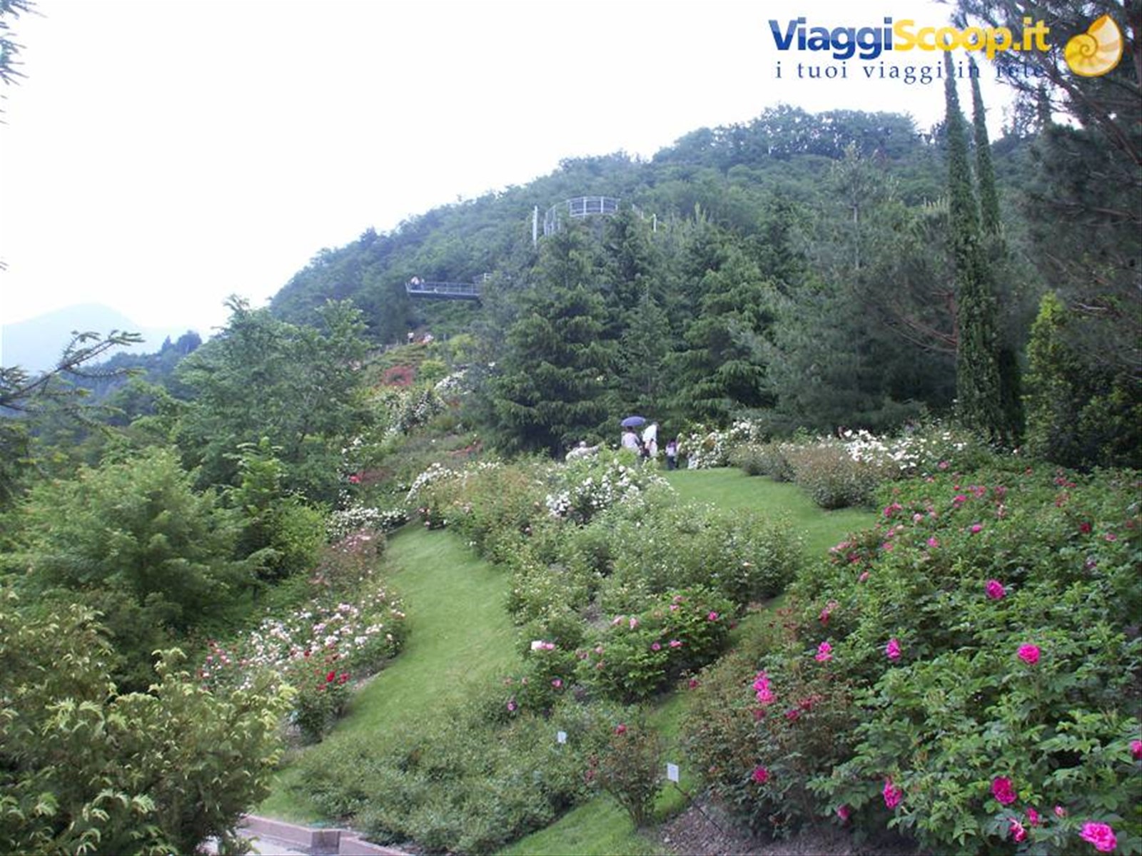 Merano 051 - Giardini di Castel Trauttmansdorff