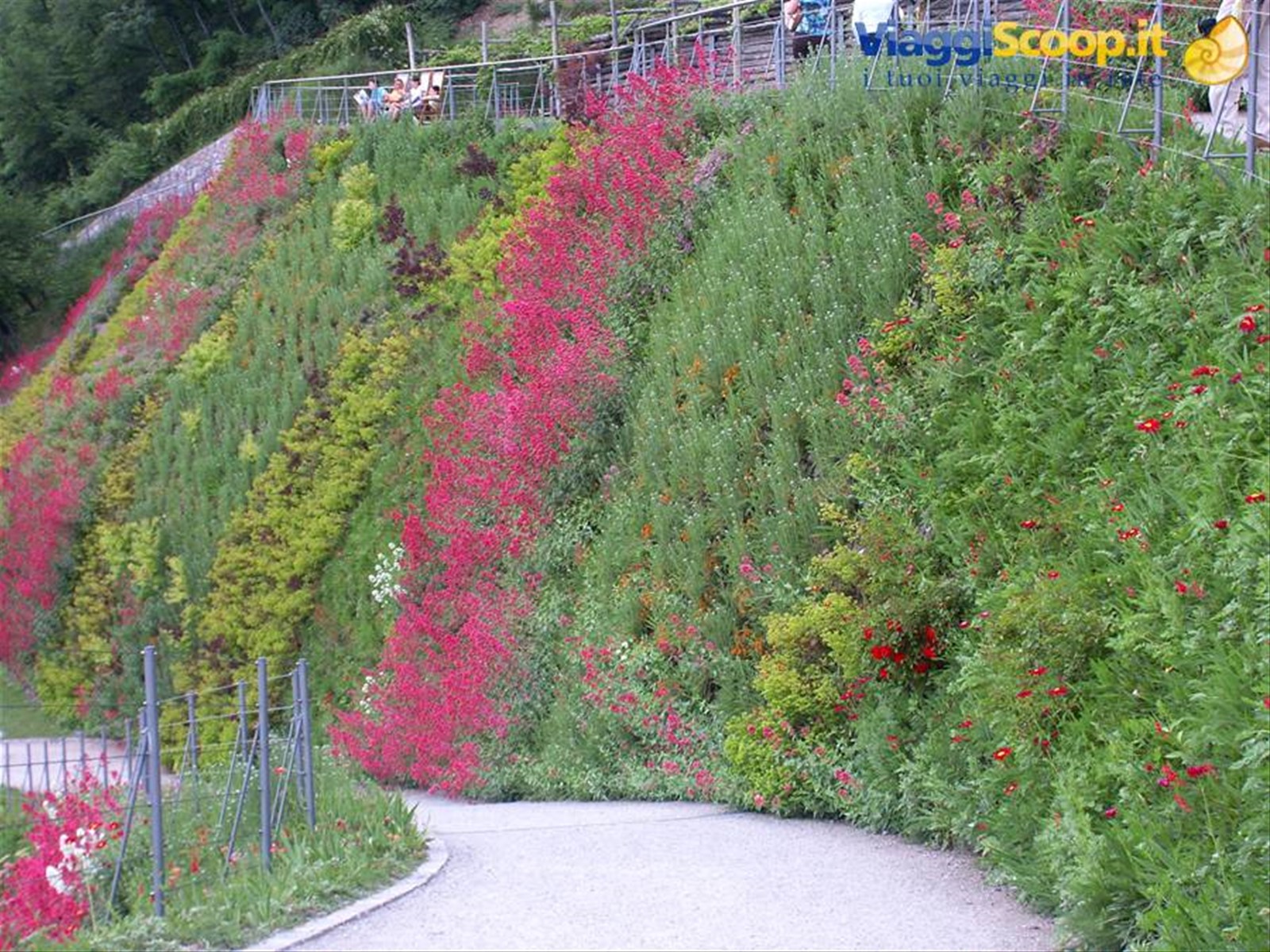 Merano 056 - Giardini di Castel Trauttmansdorff