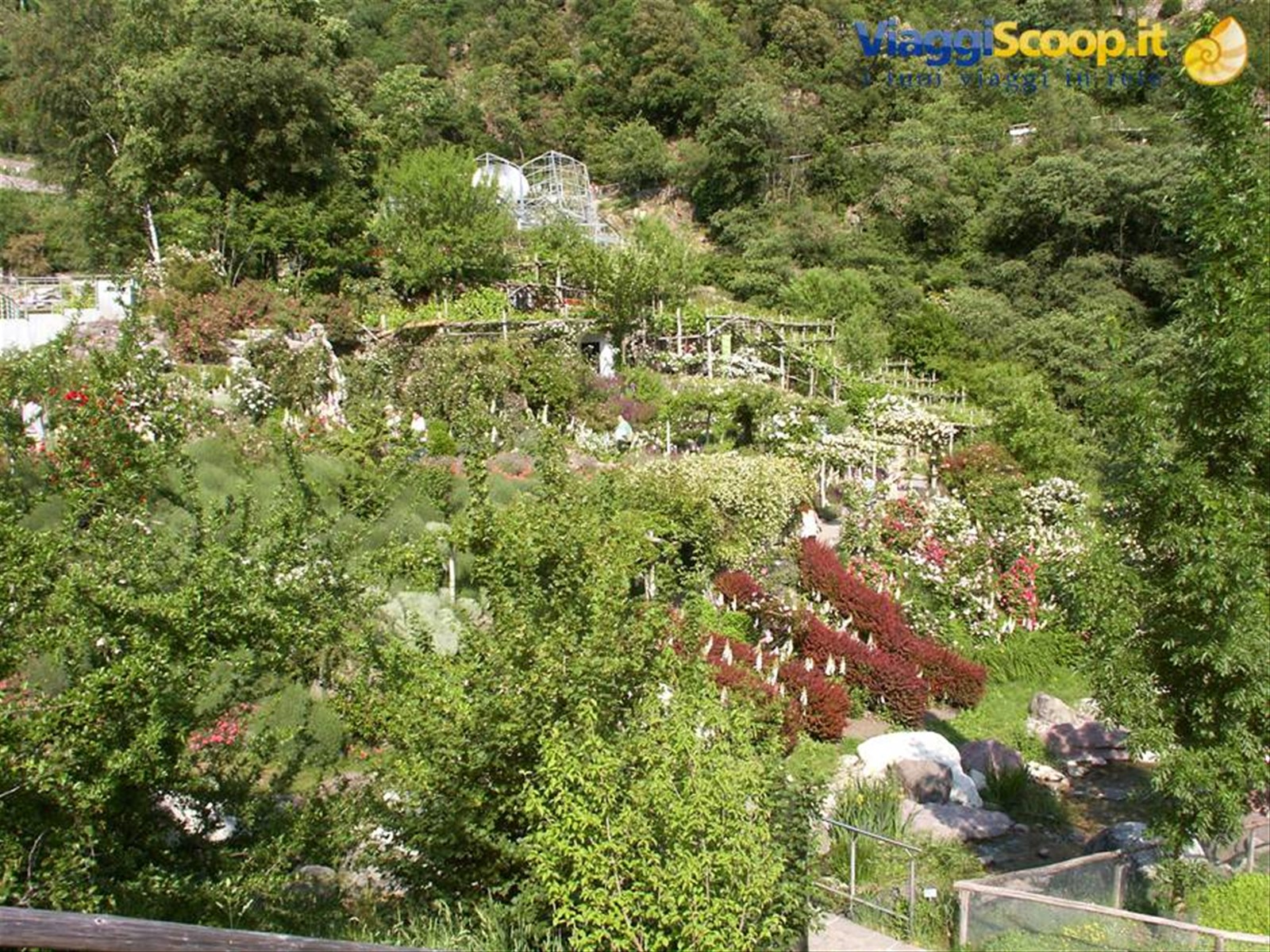 Merano 096 - Giardini di Castel Trauttmansdorff
