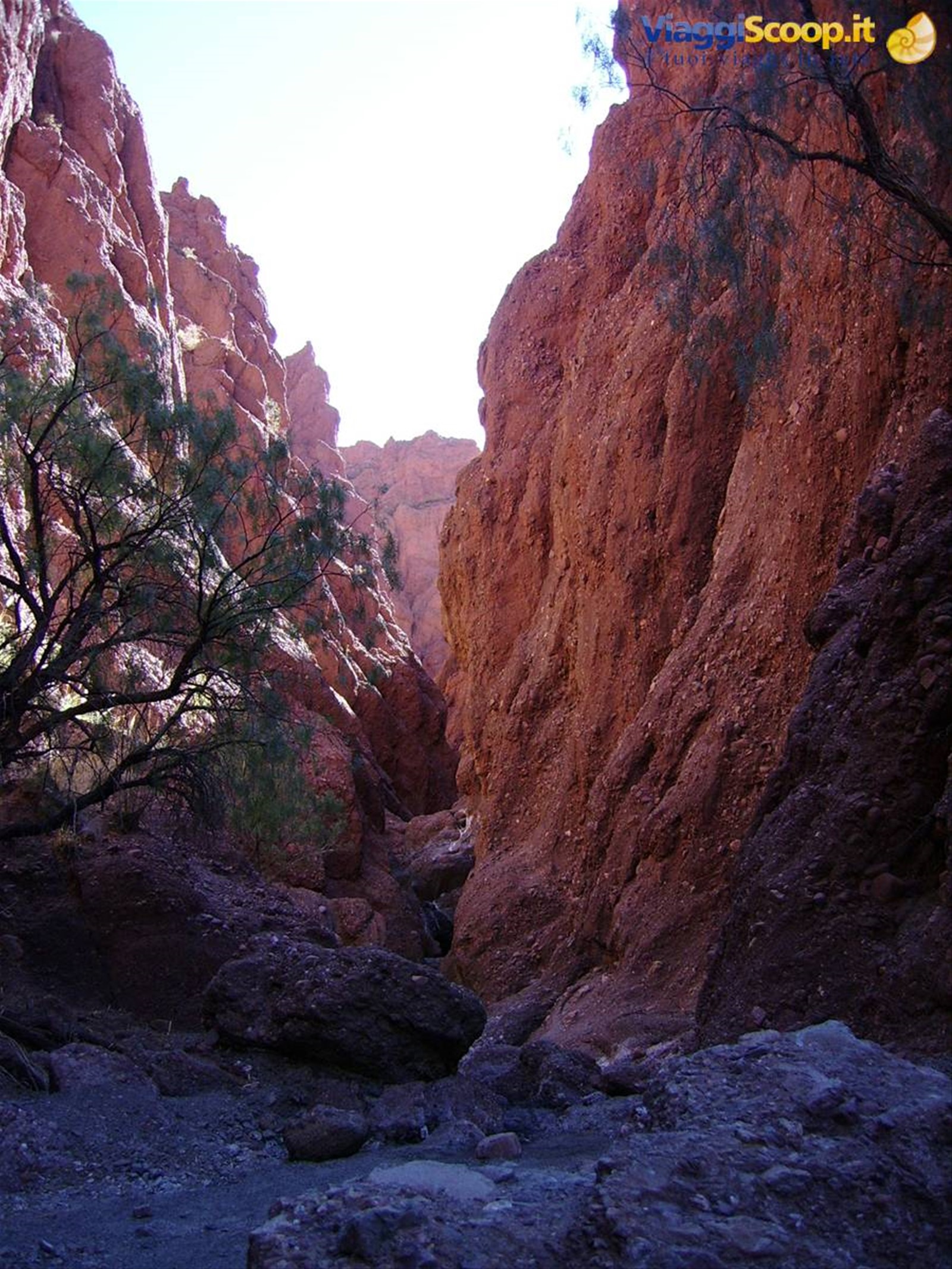 Canyon de l'Inca