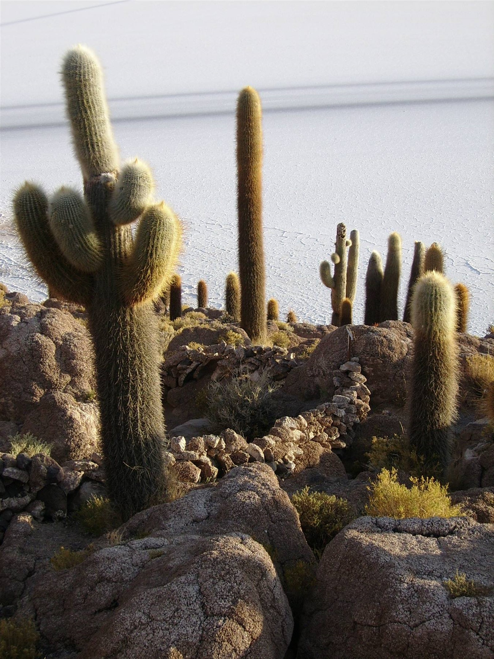 Foto di viaggio in BOLIVIA