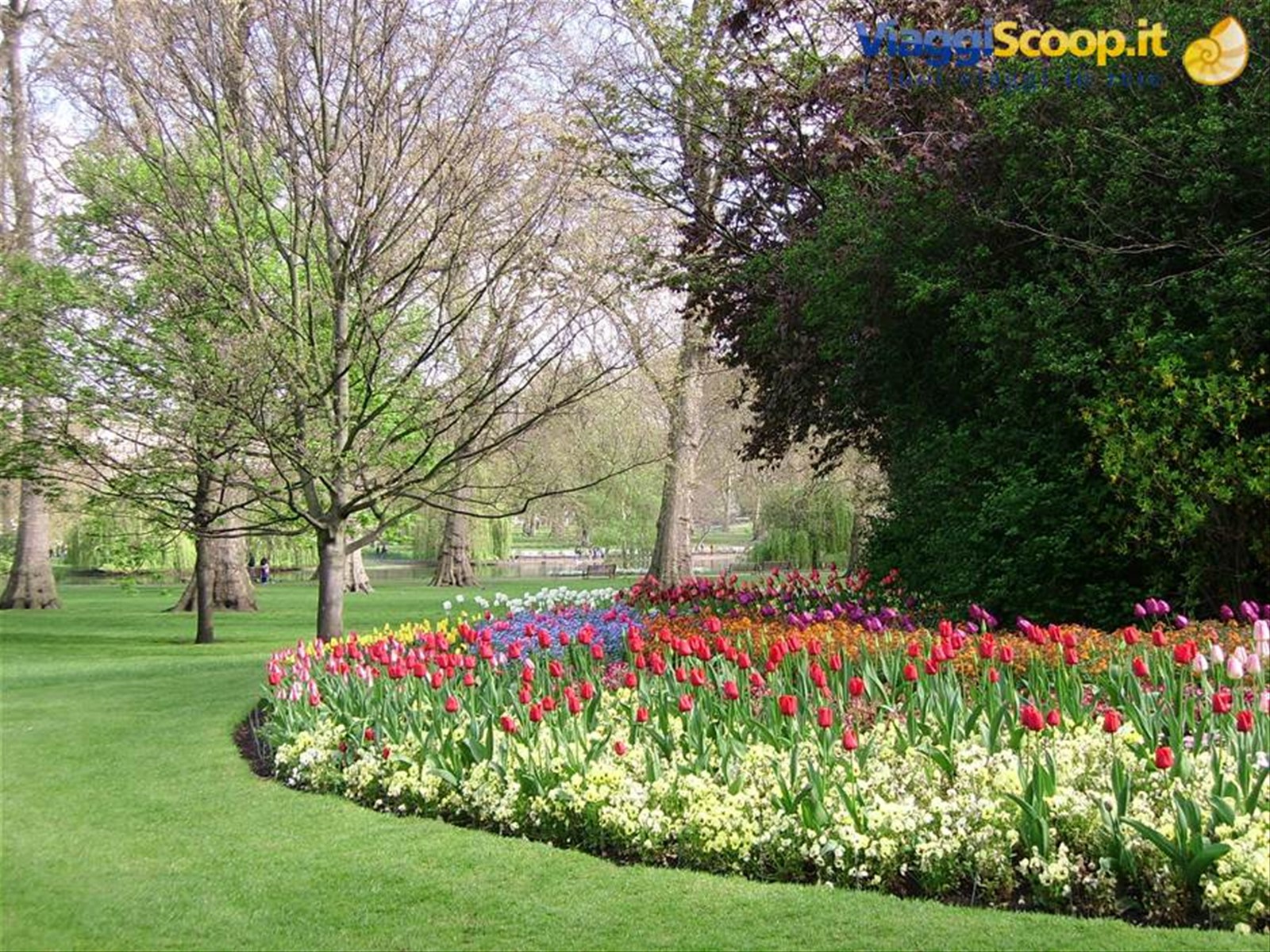 St James Park