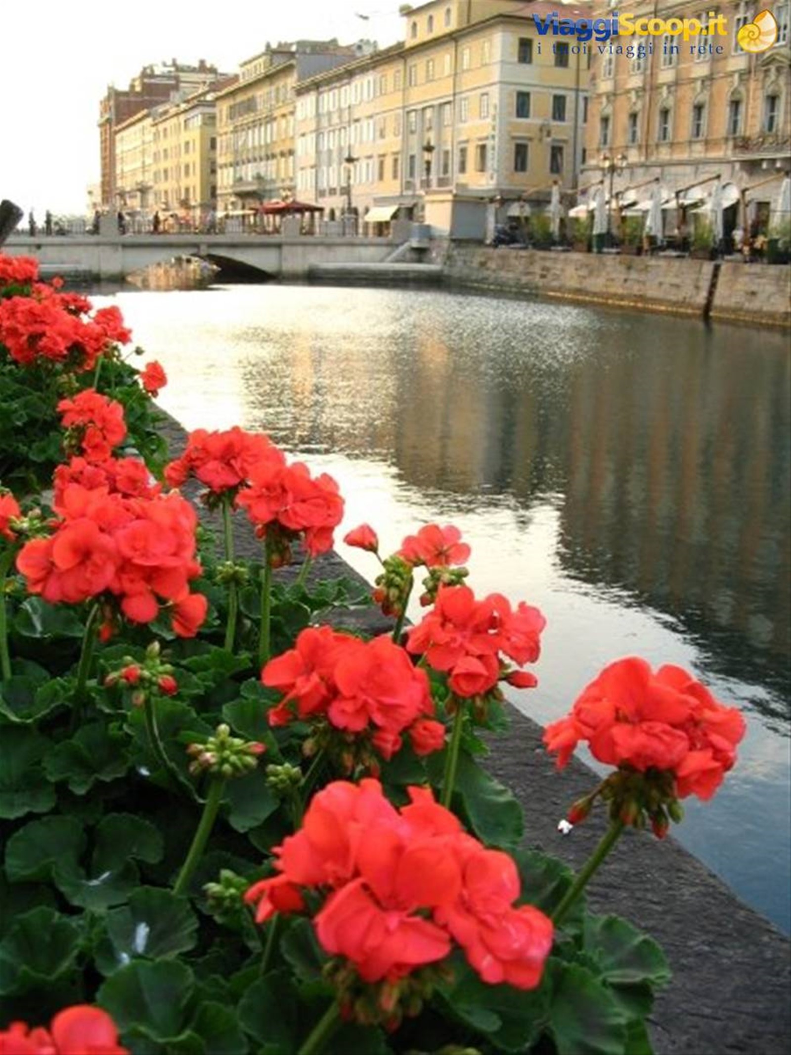 Foto di viaggio in ITALIA