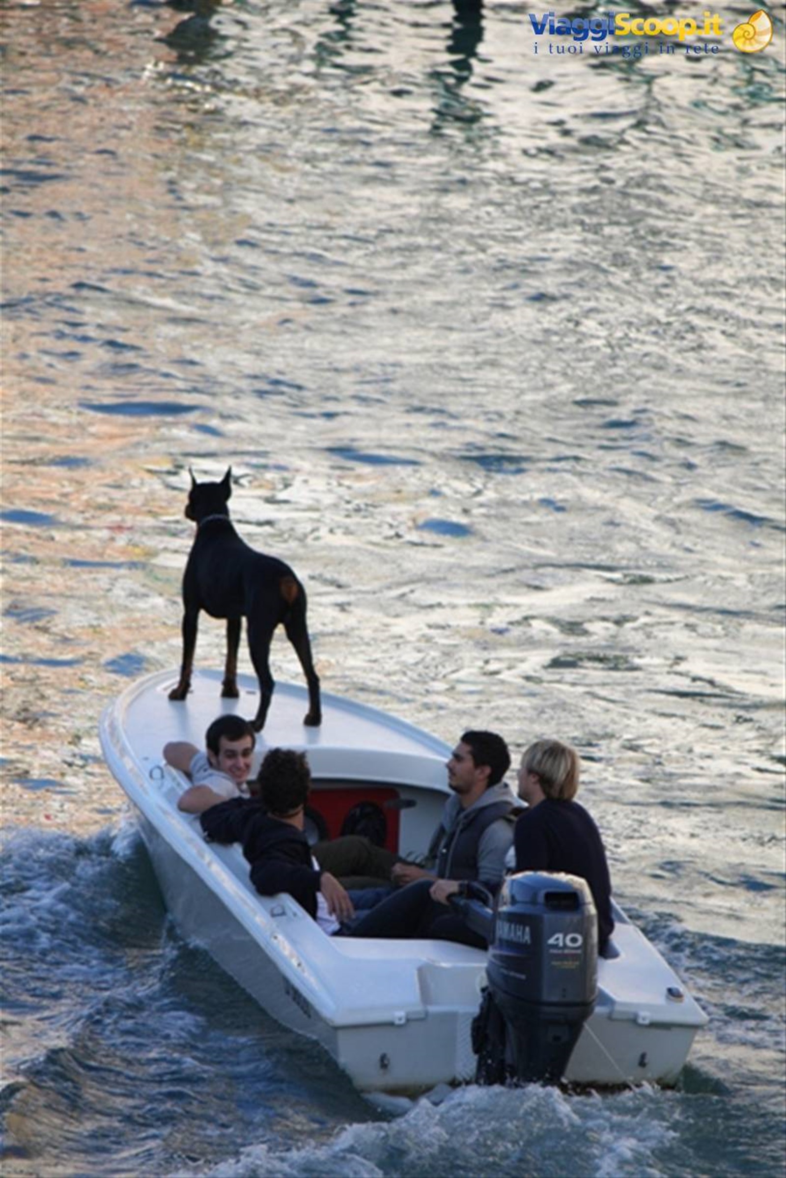 Foto di viaggio in ITALIA