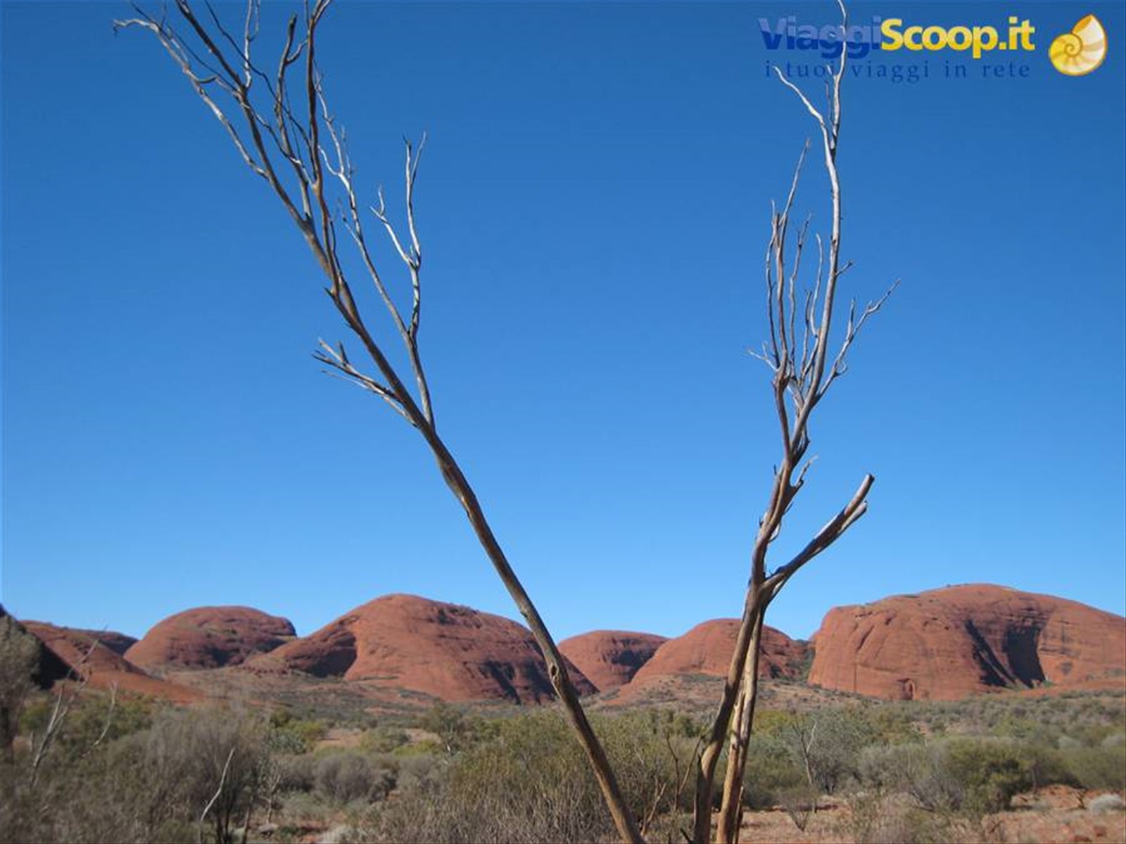Kata Tjuta dalla valley of the winds