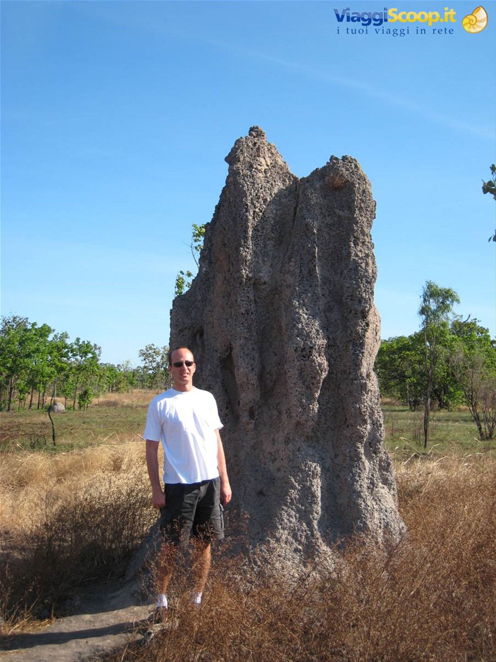 Nido di Termiti a Kakadu