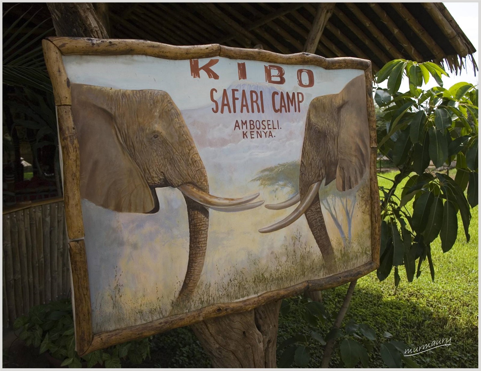 Amboseli - il Kibo Safari Camp