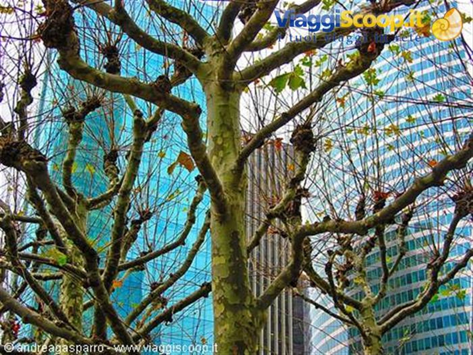 Défense