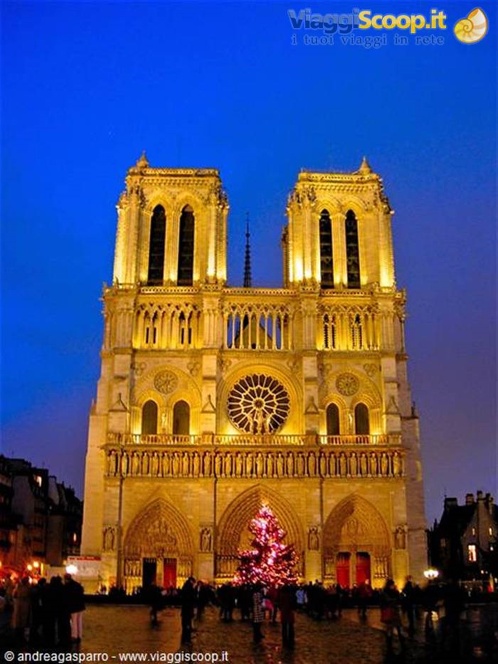 Foto di viaggio in FRANCIA