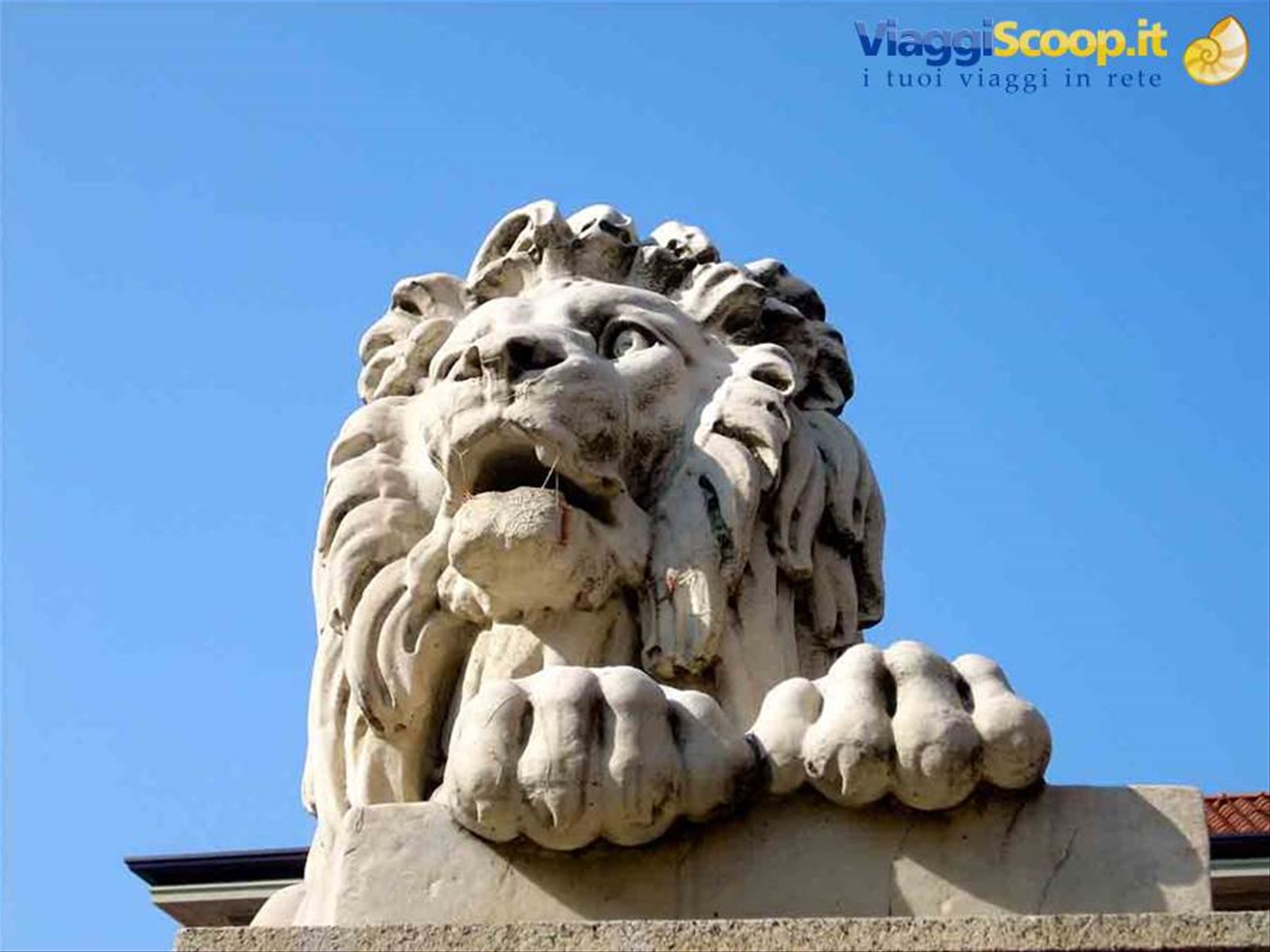 Un leone sul Ponte dei Leoni