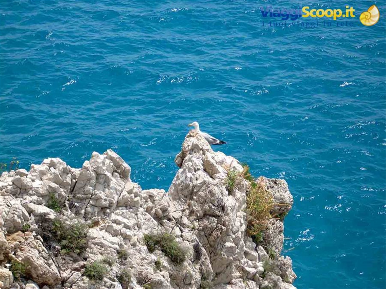 Capo Noli