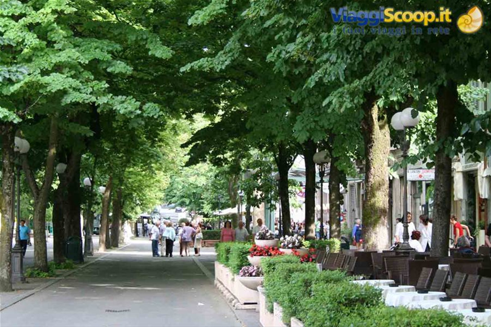 Viale Romagnosi a Salsomaggiore Terme