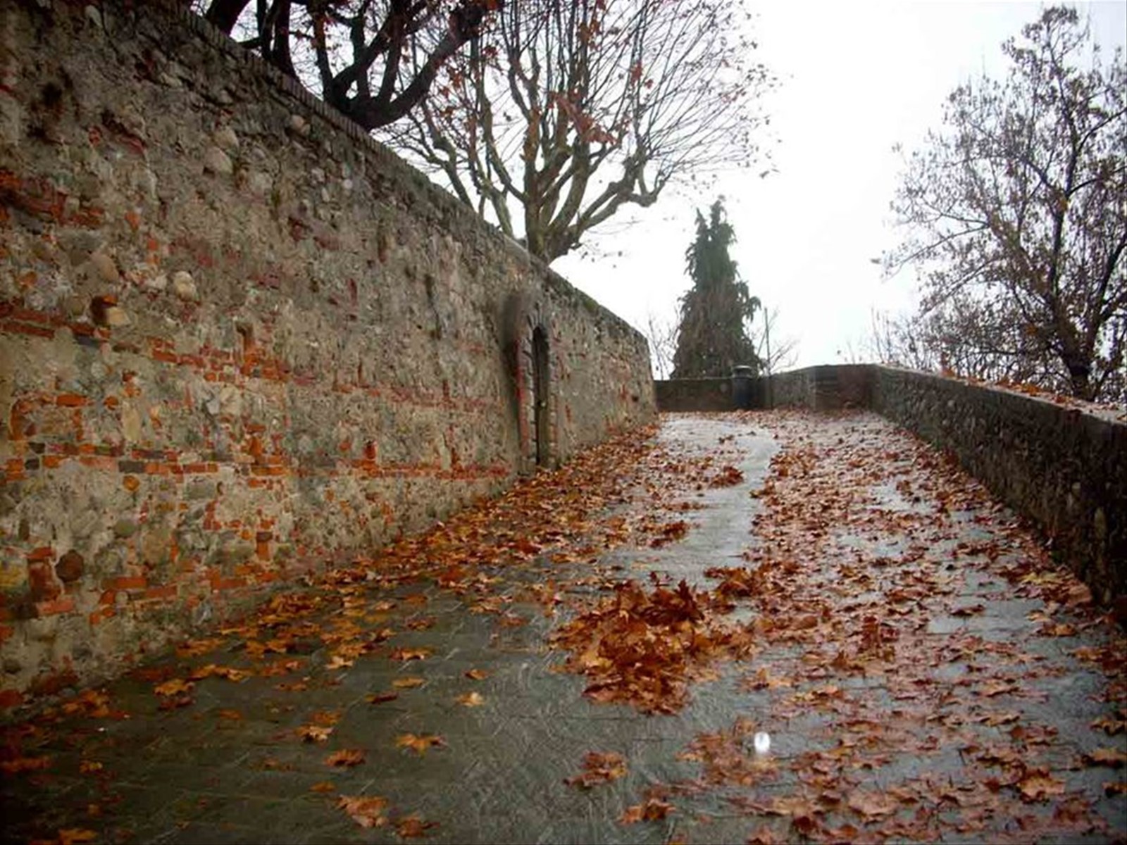 Verso la Torre