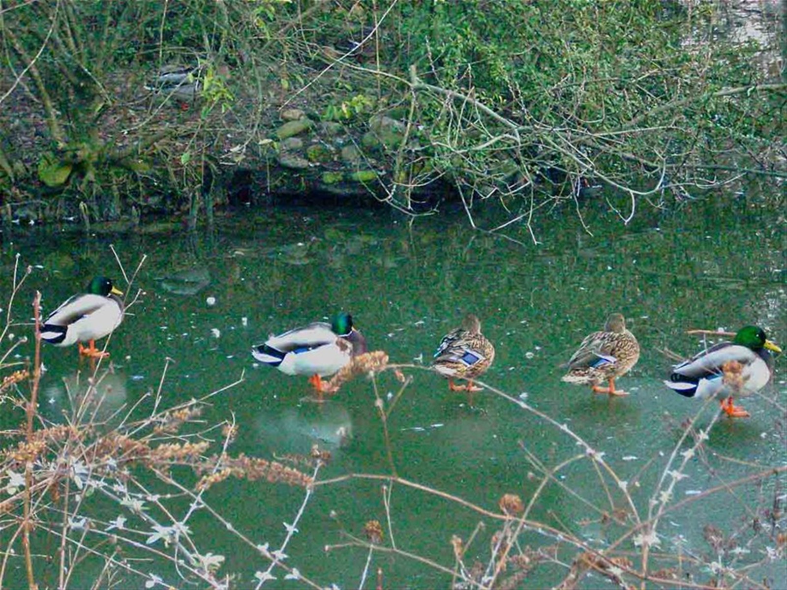 Nel parco di Legnano