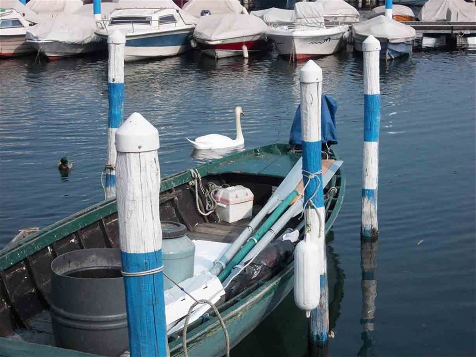 Foto di viaggio in ITALIA