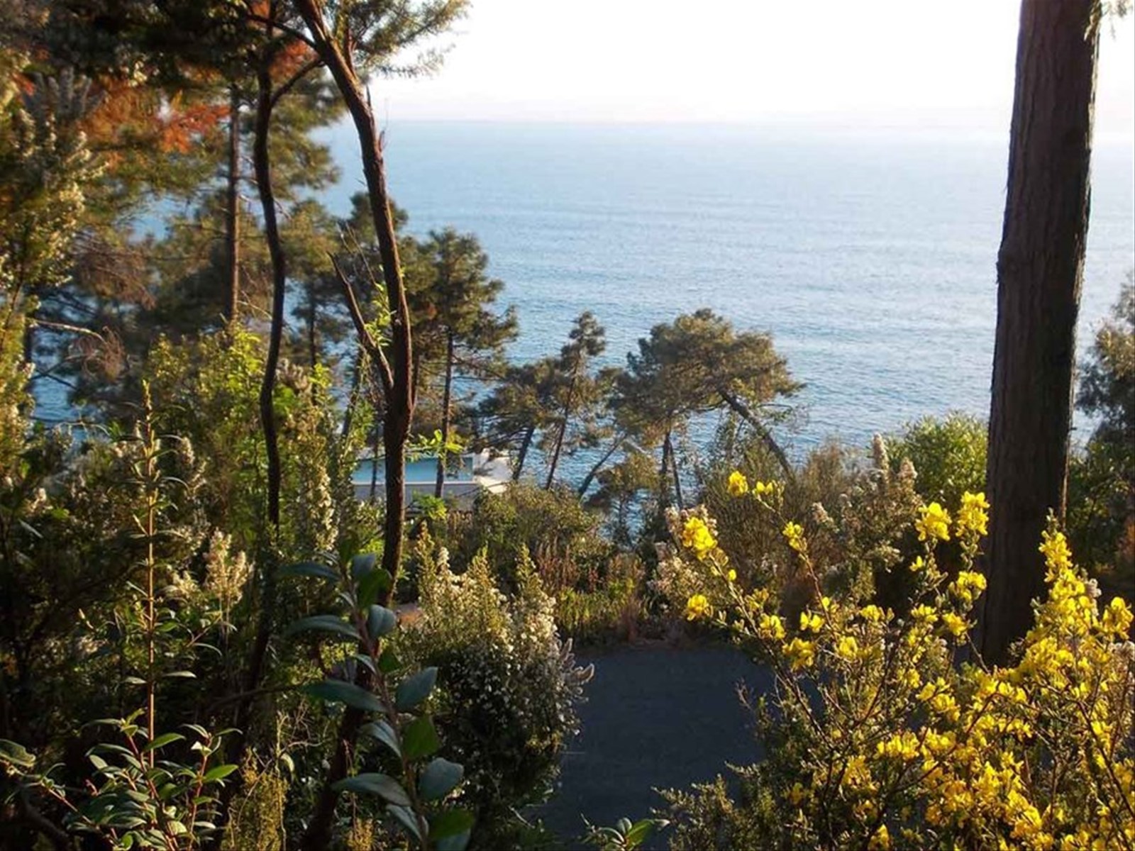 Foto di viaggio in ITALIA