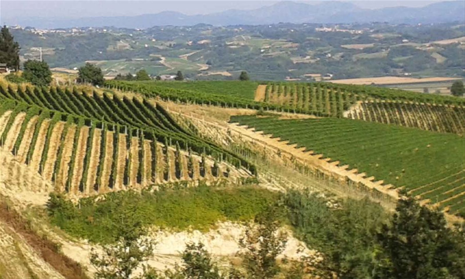 Dalla città termale alla fattoria didattica per ritrovare la pace: un weekend ad Acqui Terme - II.