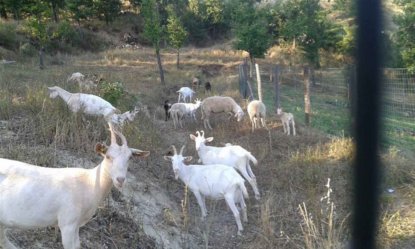 Foto di viaggio in ITALIA