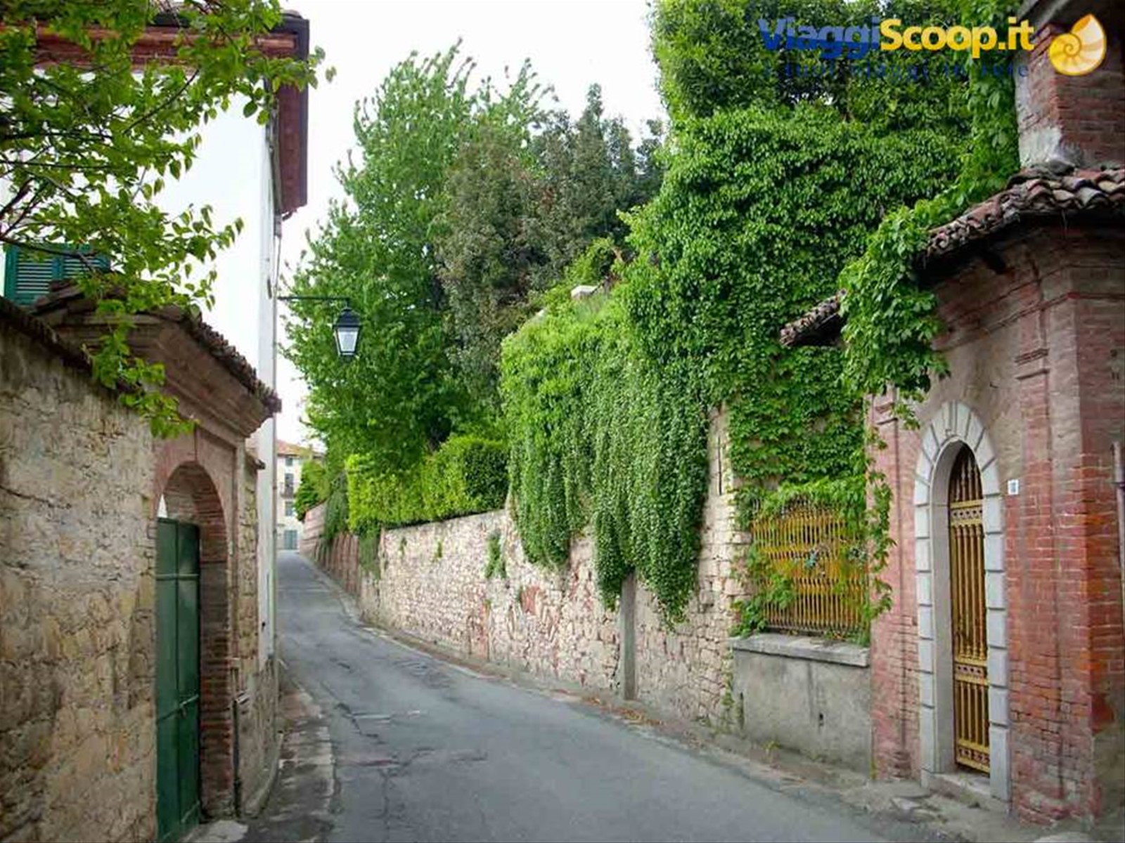 Vecchi muri nel verde