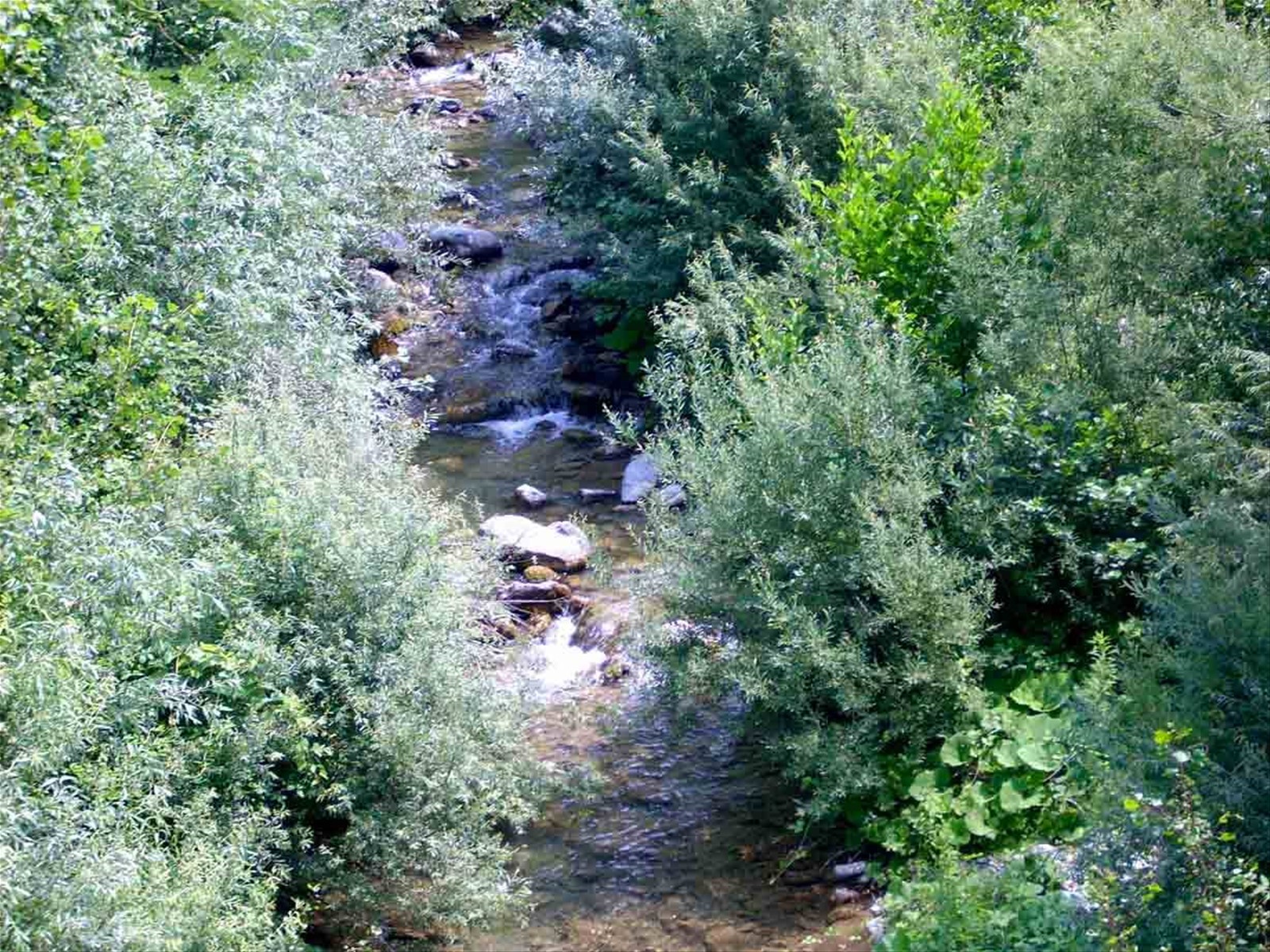 Il torrente Visone