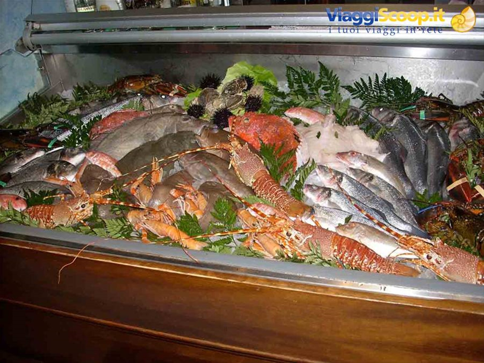 La vetrina del pesce presso il Ristorante Da Maiuccia di Vigevano