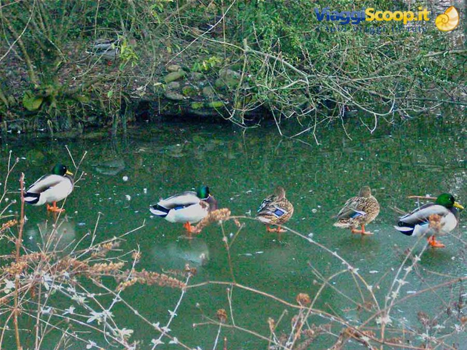 Il Parco di Legnano