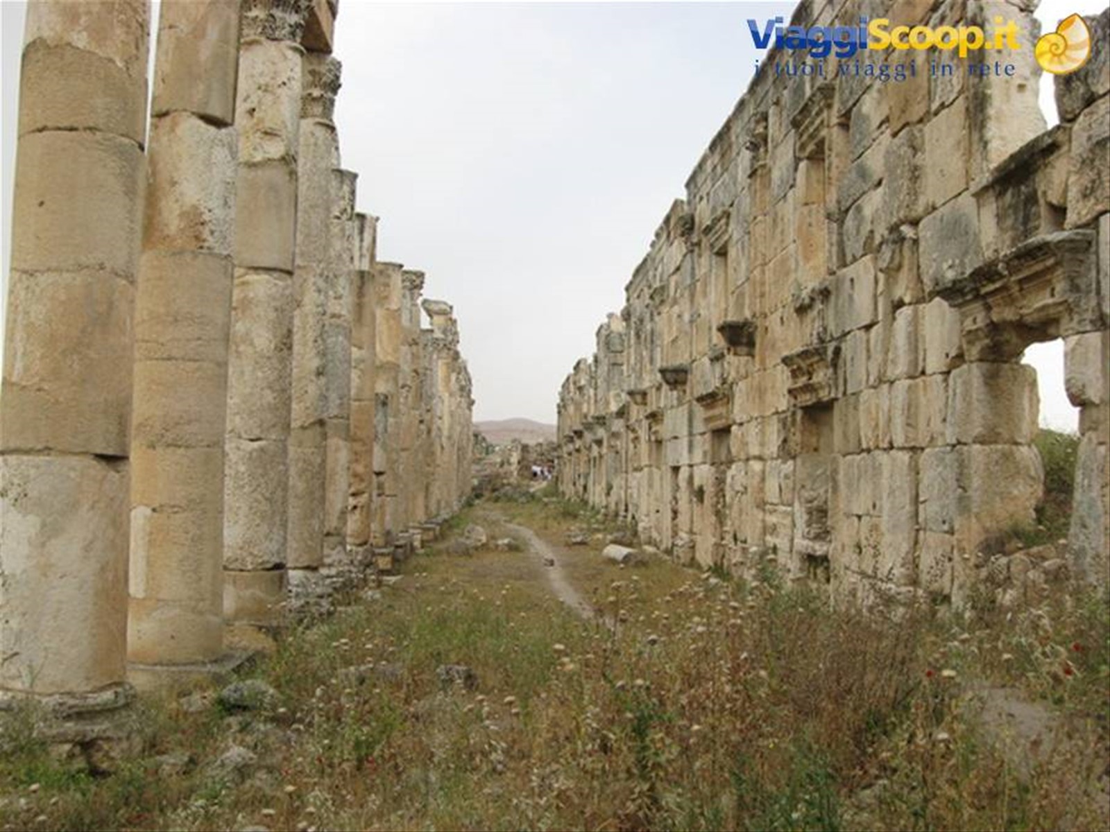 Apamea: La via Colonnata