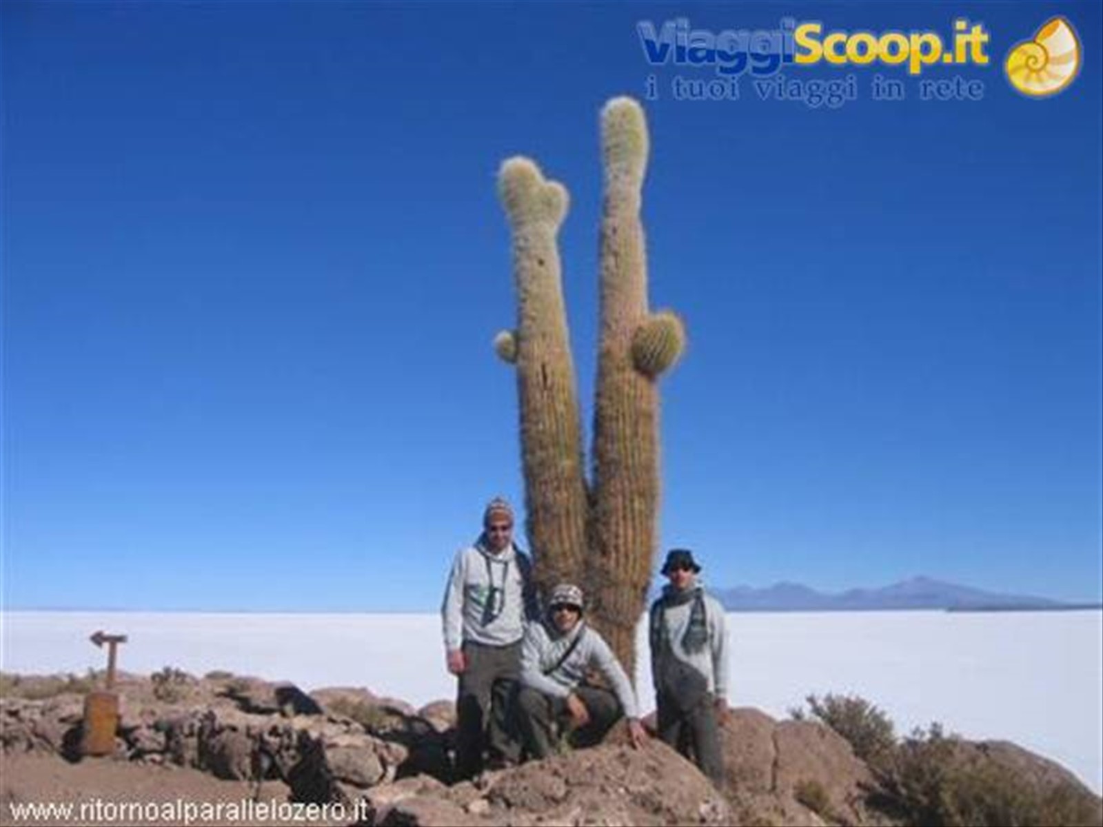 A confronto con il cactus